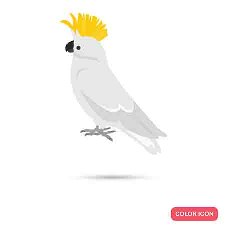 Parrot